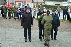 
                                                    POWIATOWE OBCHODY NARODOWEGO ŚWIĘTA NIEPODLEGŁOŚCI W RYKACH
                                                
