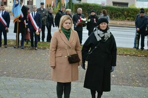 
                                                    POWIATOWE OBCHODY NARODOWEGO ŚWIĘTA NIEPODLEGŁOŚCI W RYKACH
                                                