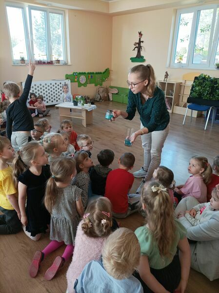 roślina 6