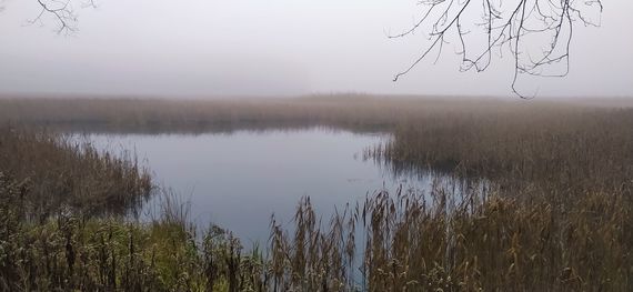 Jezioro Piskory