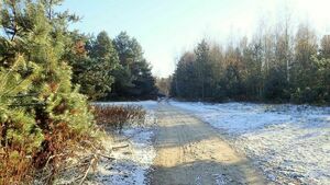 Zimowy spacer wąwozami do Parchatki, nad Wisłę i do Parku Czartoryskich