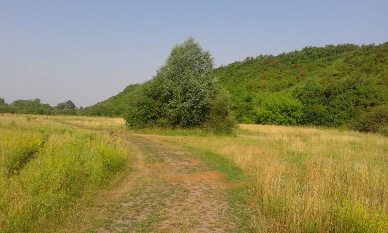 
                                                       Zielonym szlakiem do Janowca
                                                