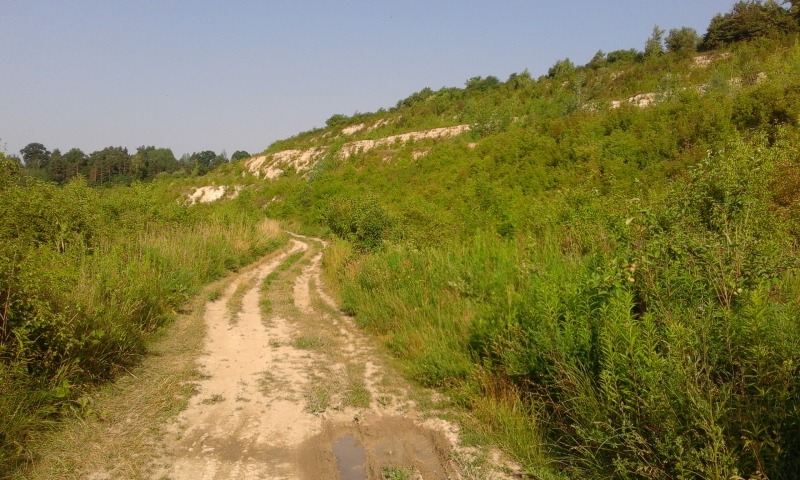 
                                                       Zielonym szlakiem do Janowca
                                                