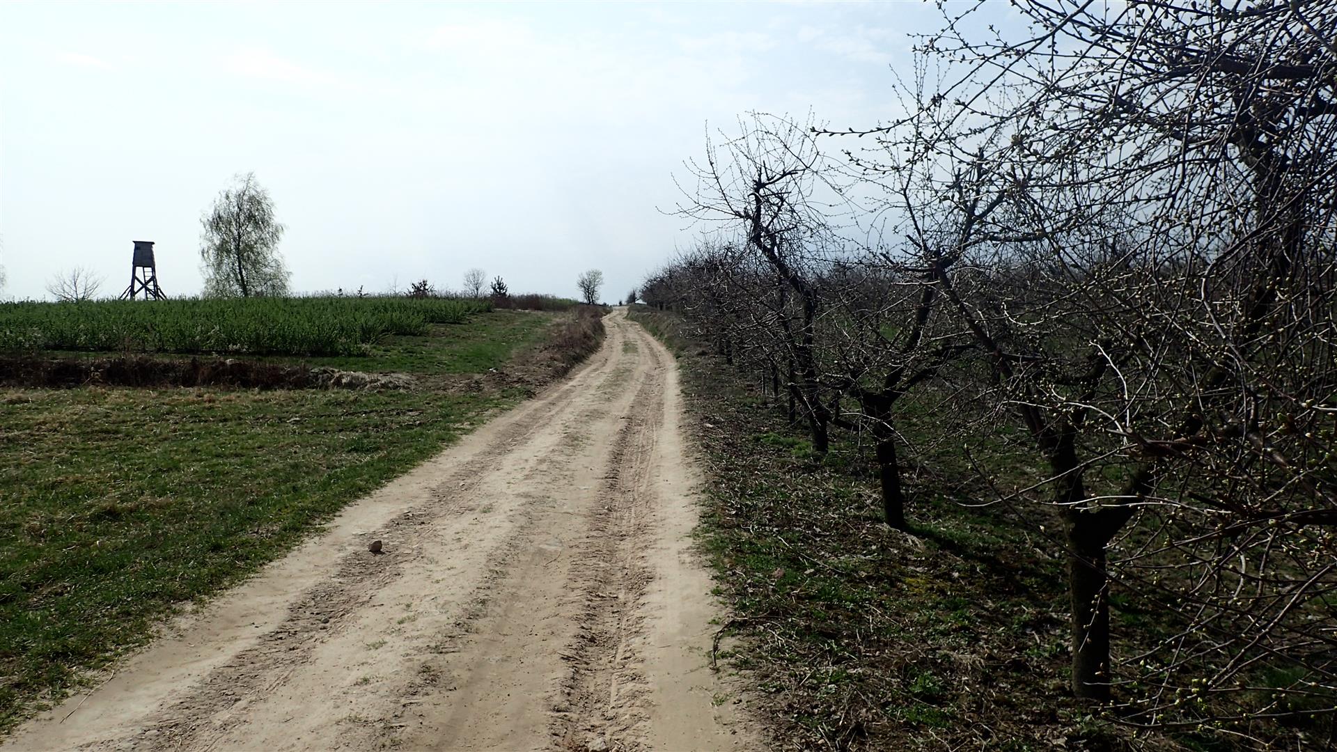 
                                                       Wiosennych szlaków po Powiecie Puławskim ciąg dalszy
                                                