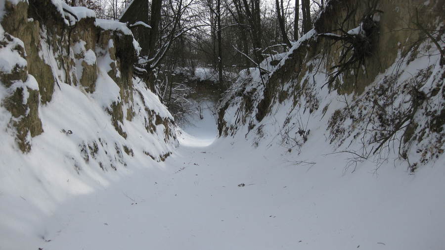 
                                                       Zimowe szlaki Powiatu Puławskiego
                                                