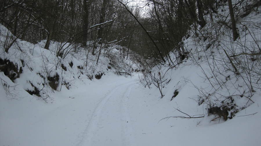 
                                                       Zimowe szlaki Powiatu Puławskiego
                                                
