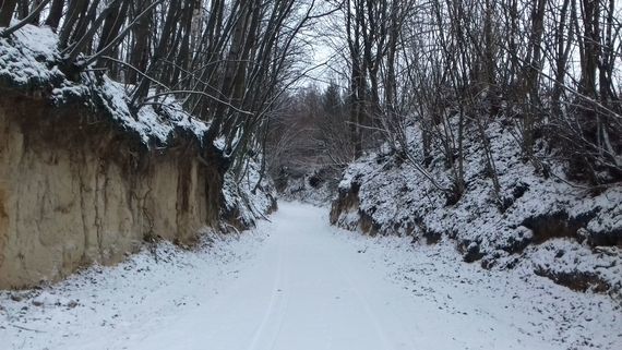 Zimowy bieg wąwozami w okolicach Wierzchoniowa, Celejowa i Witoszyna