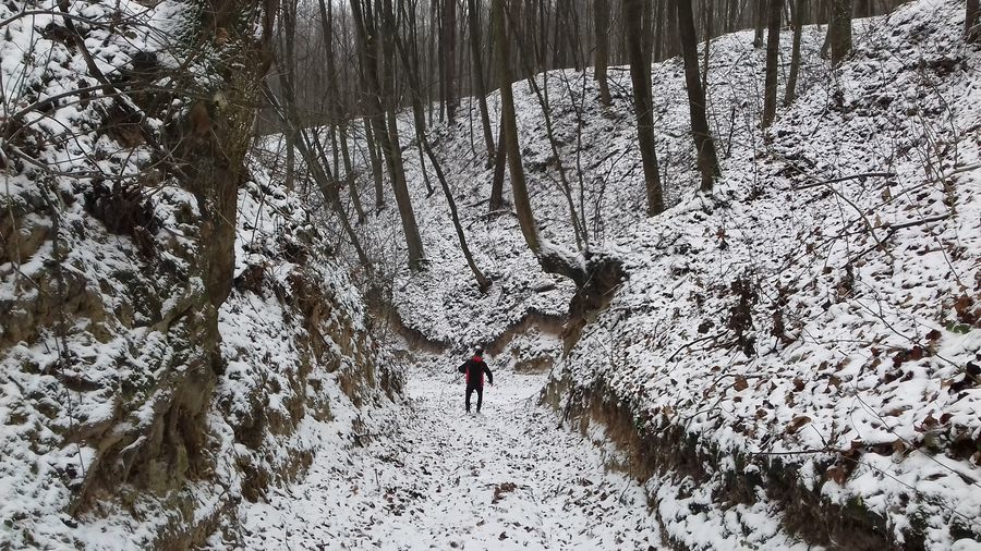 
                                                       Zimowy bieg wąwozami w okolicach Wierzchoniowa, Celejowa i Witoszyna
                                                