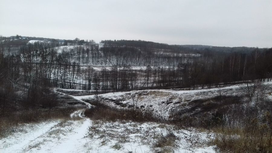
                                                       Zimowy bieg wąwozami w okolicach Wierzchoniowa, Celejowa i Witoszyna
                                                