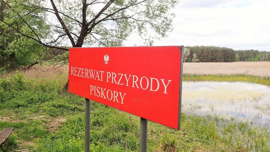 
                                                       Rowerem do rezerwatu Piskory przez Gołąb i Niebrzegów
                                                