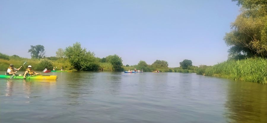 
                                                    Spływ kajakowy rzeką Wieprz
                                                