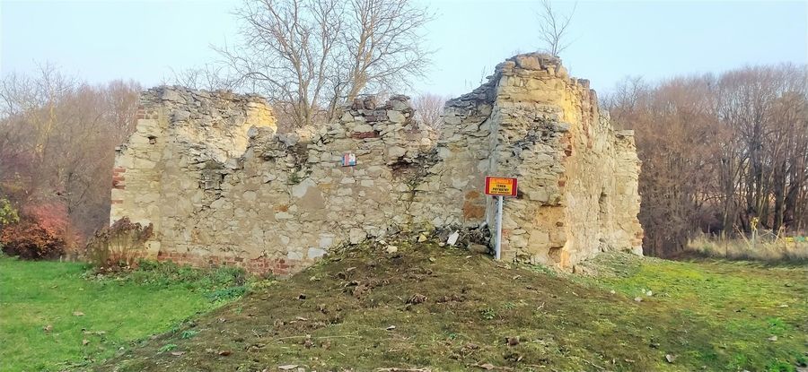 
                                                    Ruiny starego domu w Bochotnicy
                                                