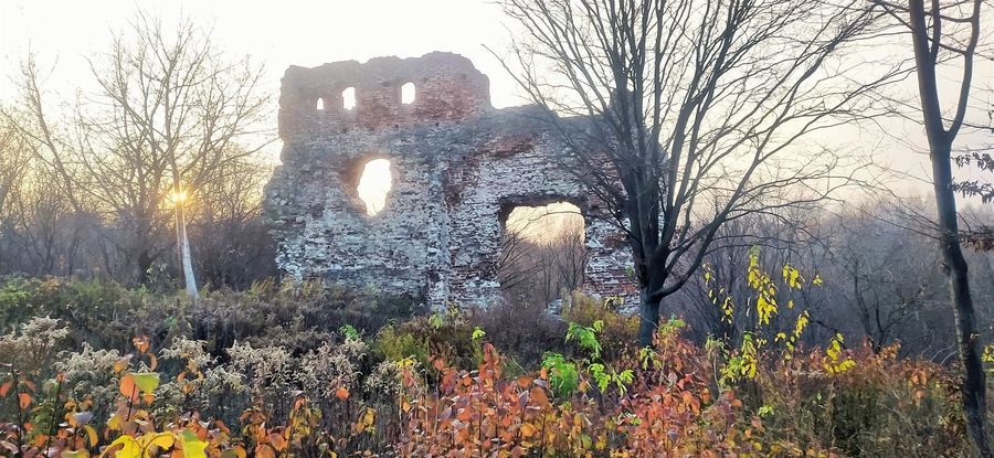 
                                                    Ruiny Zamku Esterki w Bochotnicy
                                                