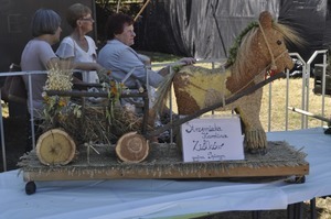 
                                                       Dożynki 2015
                                                