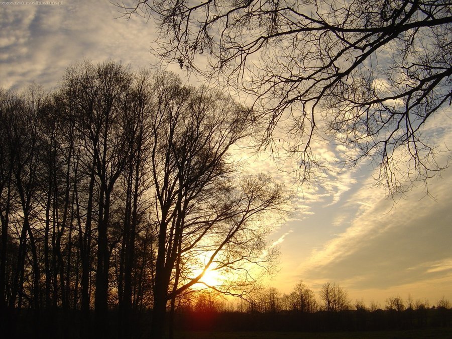                                Gmina Uścimów
                         