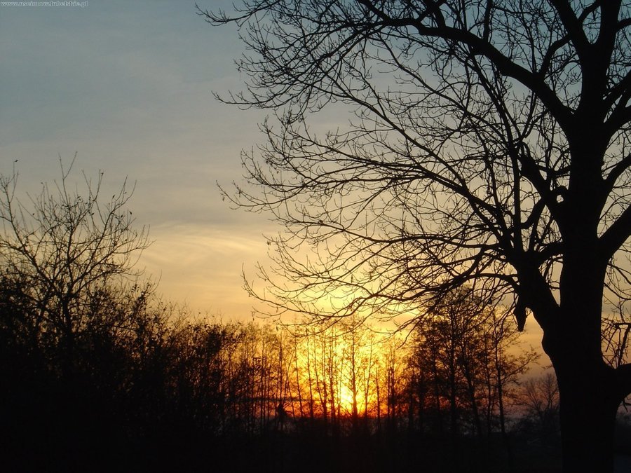                               Gmina Uścimów
                         