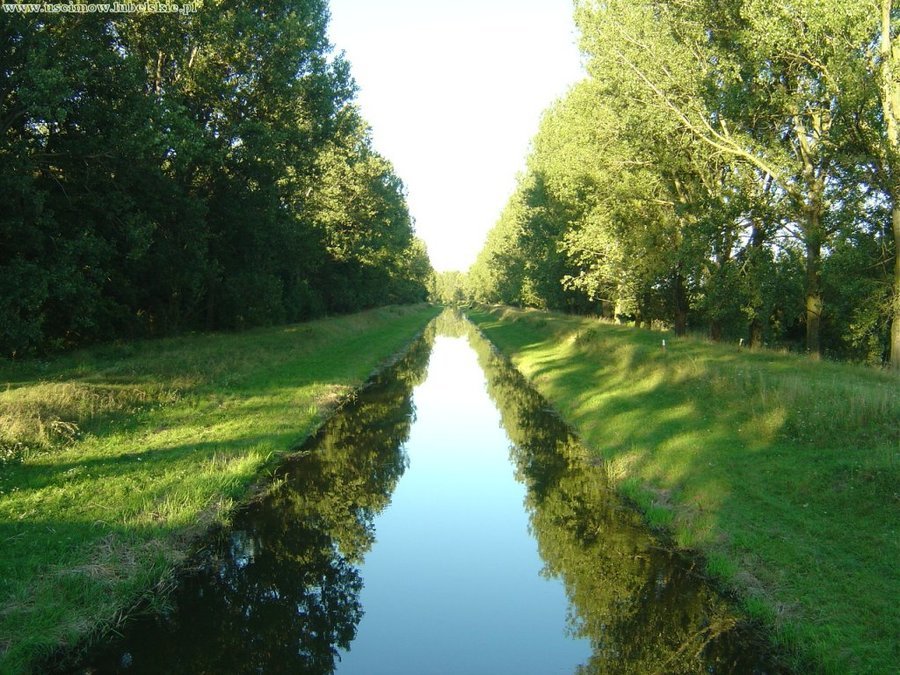                                Gmina Uścimów
                         
