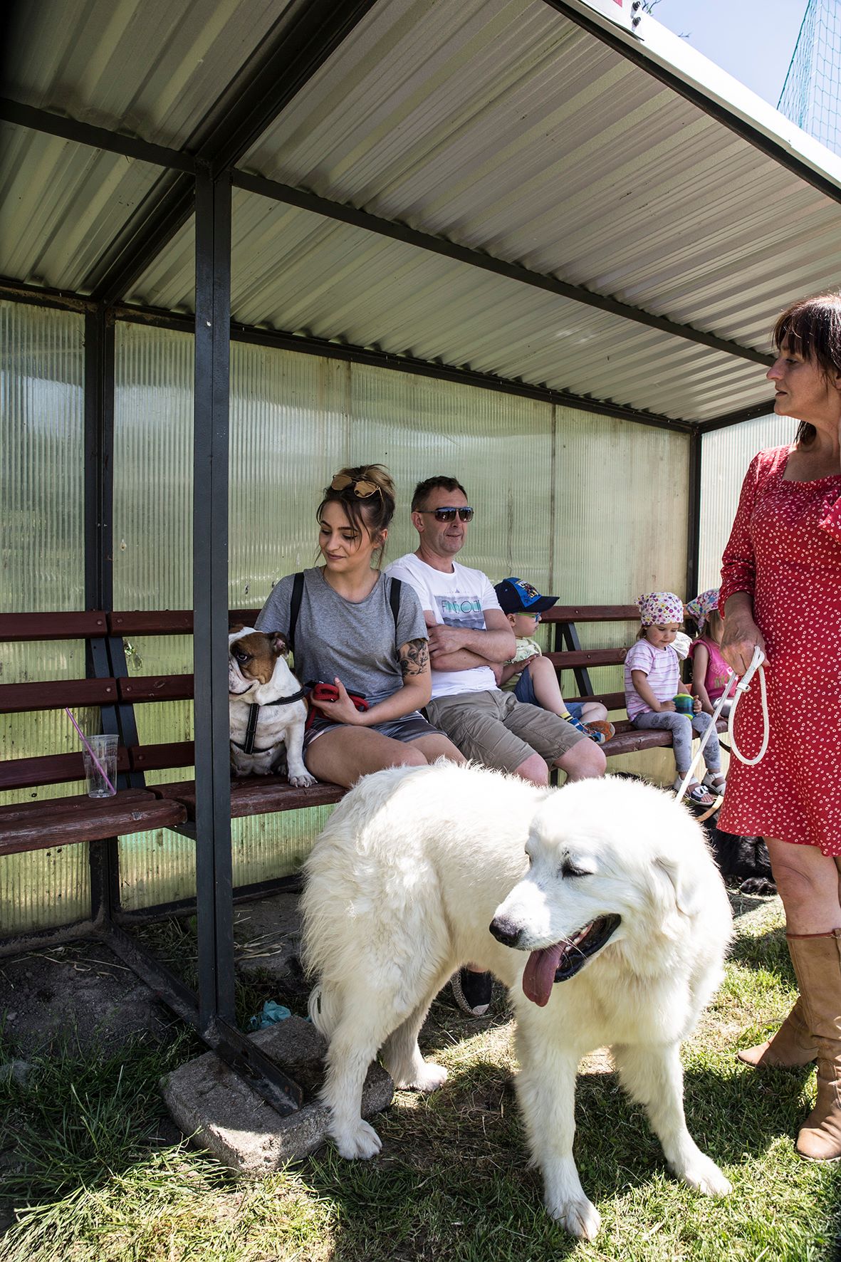II Krajowa Wystawa Psów Rasowych - Wąwolnica 2017