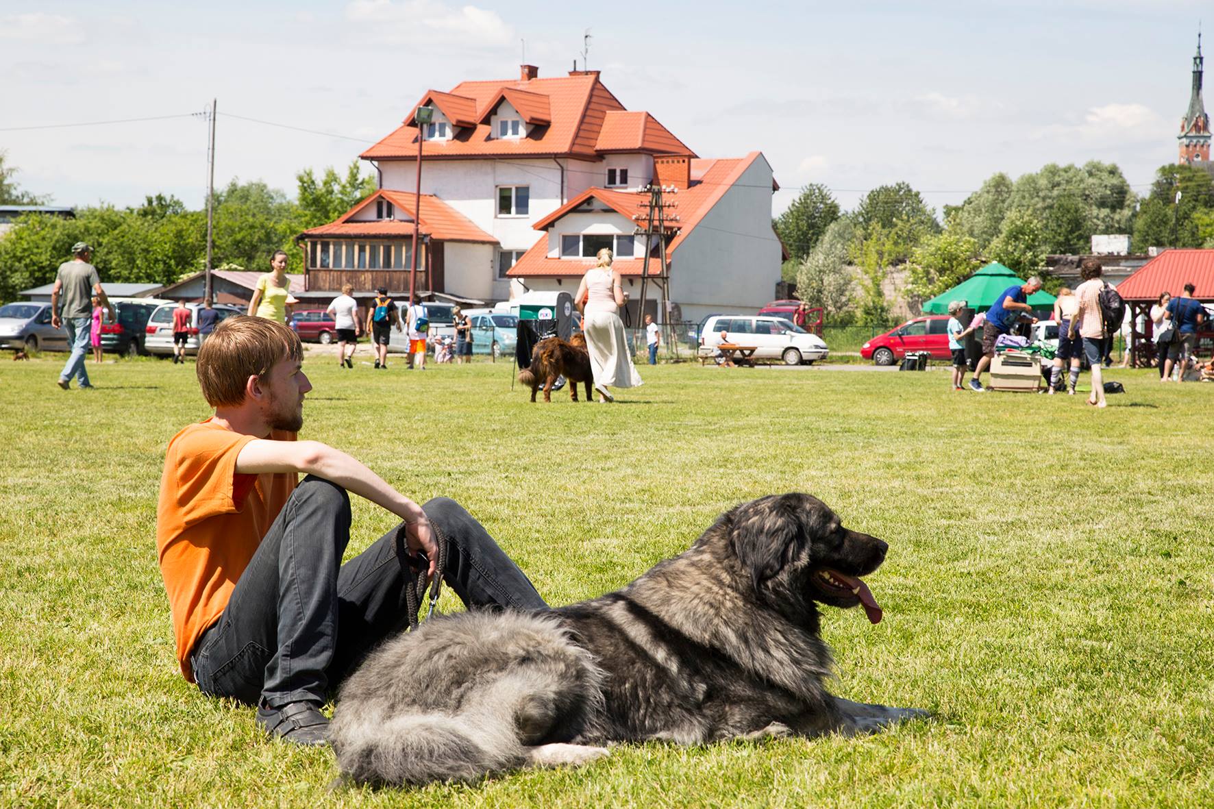 II Krajowa Wystawa Psów Rasowych - Wąwolnica 2017