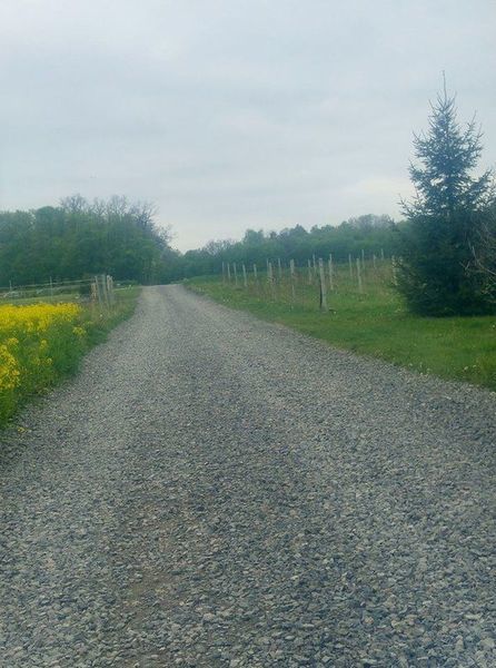 
                                                       Majowe inwestycje drogowe
                                                