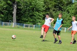 Brzechwa Cup