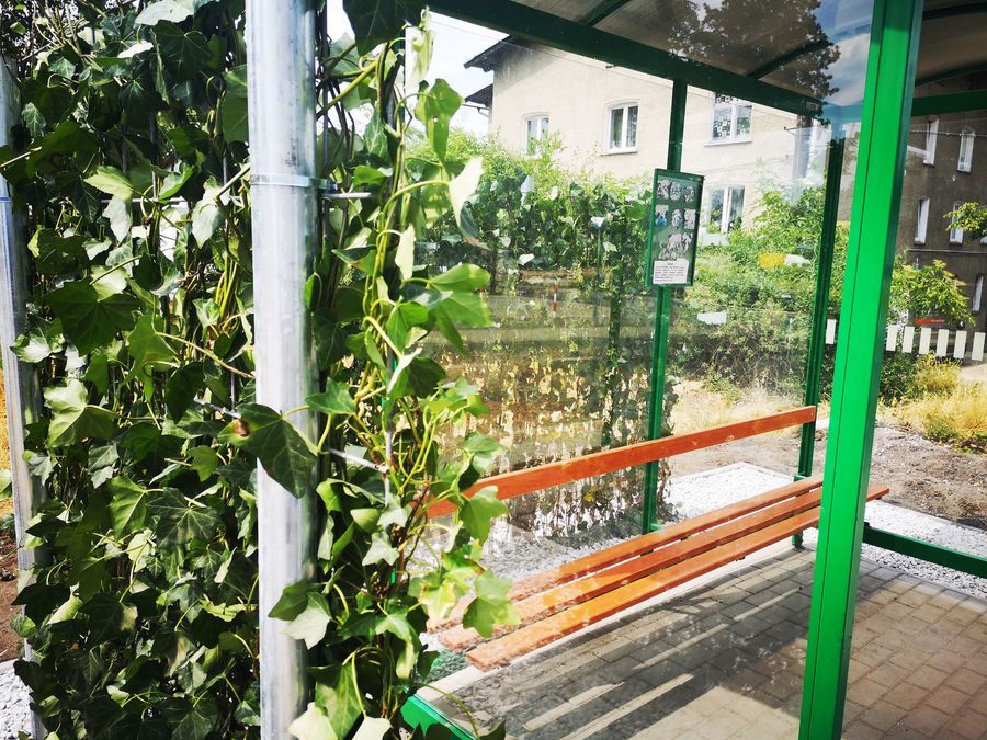 zielony przystanek
