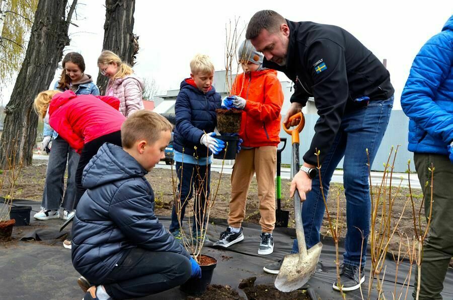 zastępca burmistrza sadzi kwiaty z uczniami SP Żarów 