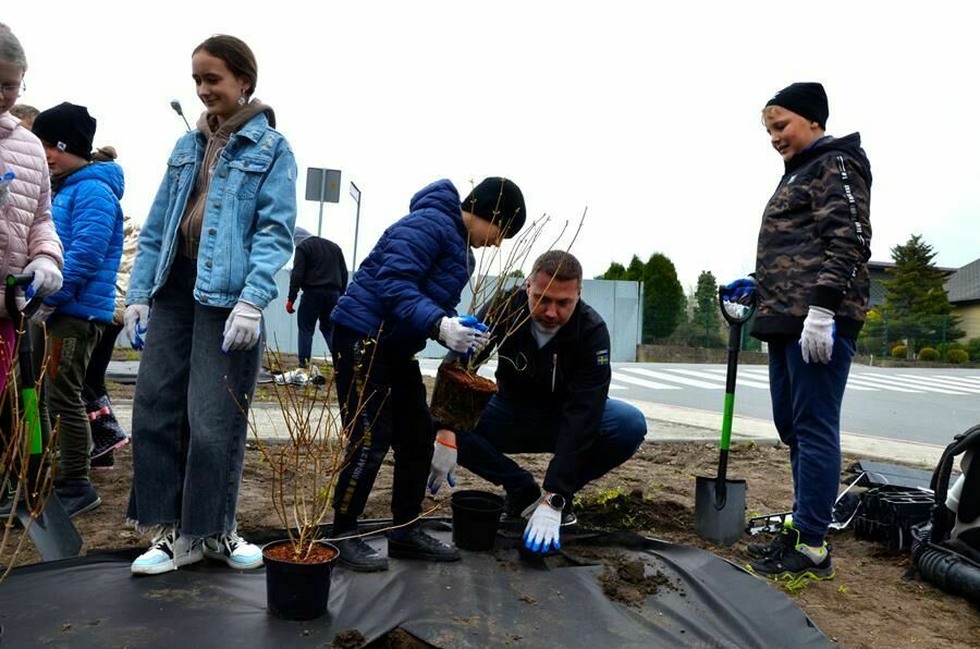 zastępca burmistrza sadzi kwiaty z uczniami SP Żarów 