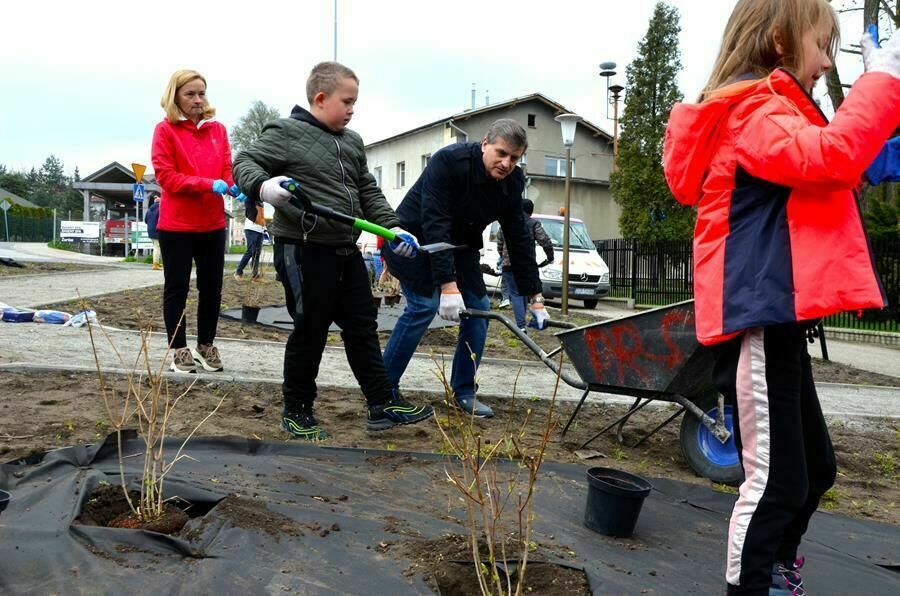 burmistrz Leszek Michalak sadzi kwiaty z uczniami SP Żarów