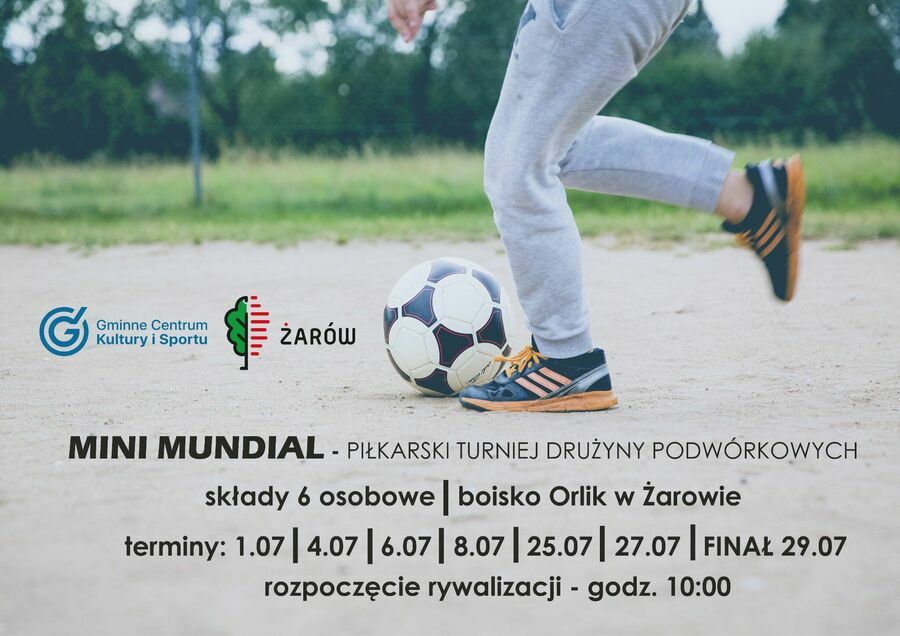 plakat mini mundial