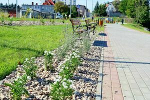 Rewitalizacja stawu miejskiego w Żarowie
