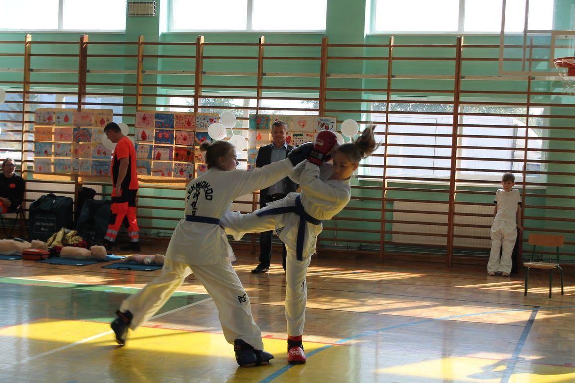 Pokaz taekwondo 