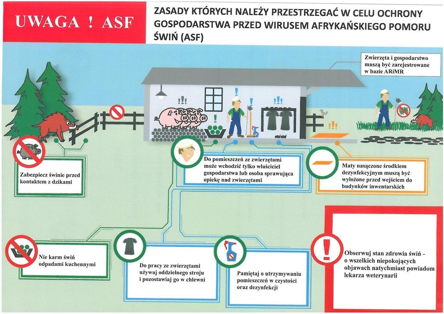 zasady których należy przestrzegać w celu ochrony gospodarstwa przed wirusem ASF
