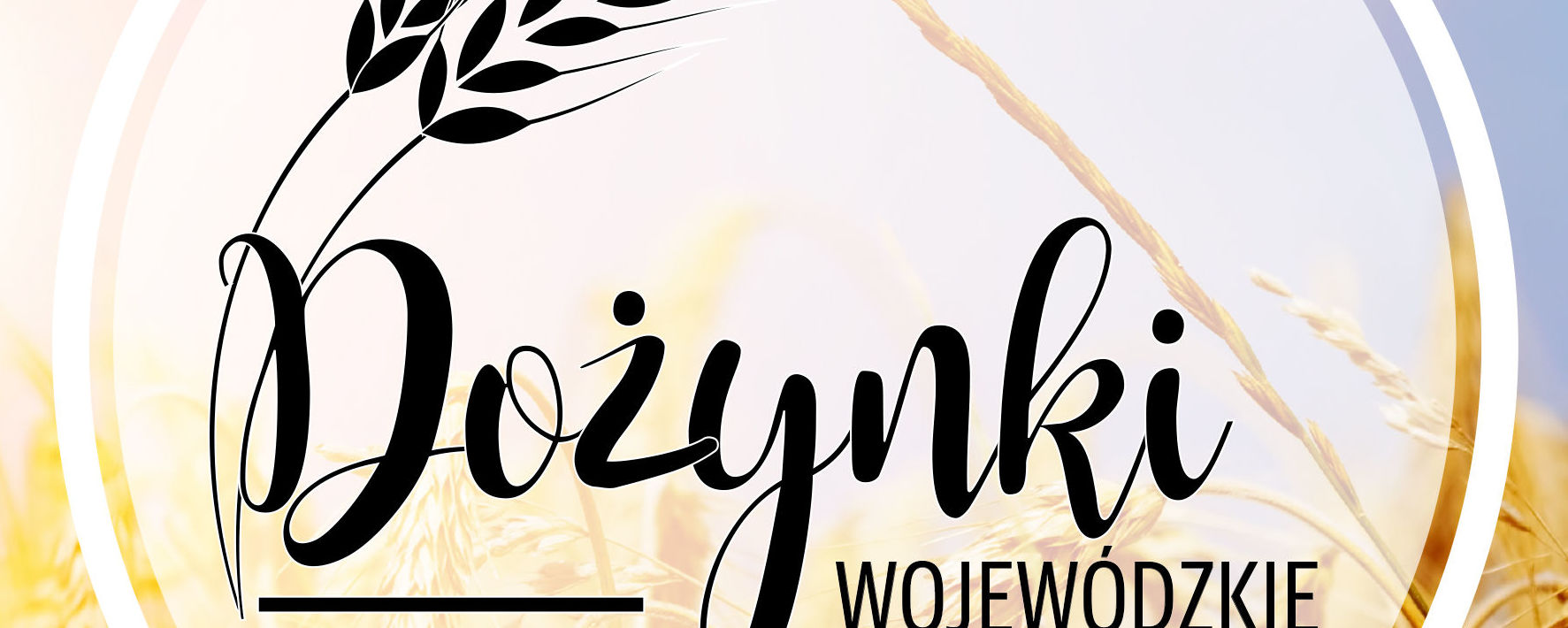 DOŻYNKI WOJEWÓDZKIE 