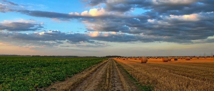 Ważne wytyczne dla producentów rolnych