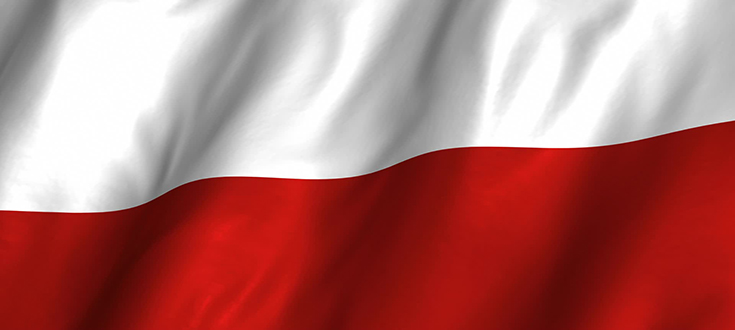 Zdjęcie Artykułu