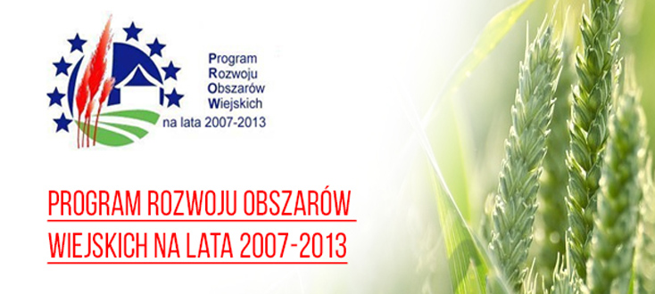 Zdjęcie Artykułu