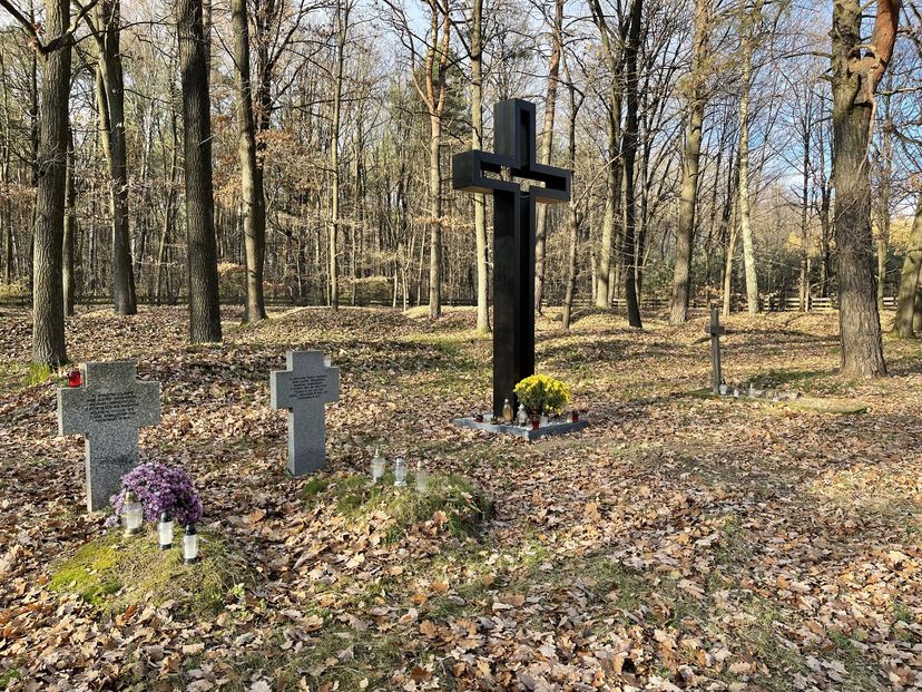 Grafika przedstawia zdjęcie cmentarza z I Wojny Światowej w Wierzchowiskach.