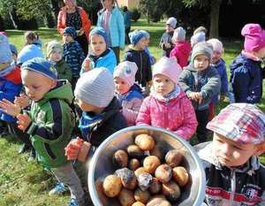"Święto Pieczonego Ziemniaka" w Miejskim Przedszkolu nr 4 w Dęblinie