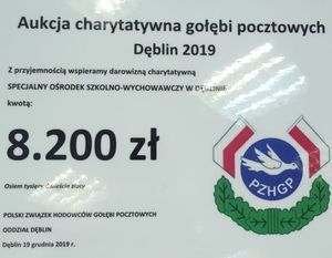 Aukcja charytatywna gołębi pocztowych Dęblin 2019