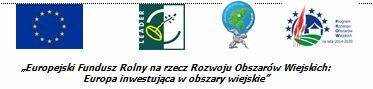 logotyp dofinansowania