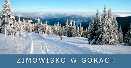 Zimowisko dla dzieci 