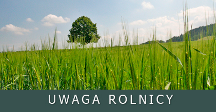 Uwaga, producenci owoców i warzyw