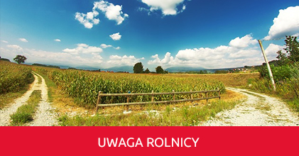 Komunikat dotyczący zgłaszania szkód spowodowanych suszą - IUNG Puławy, Raport Nr 9