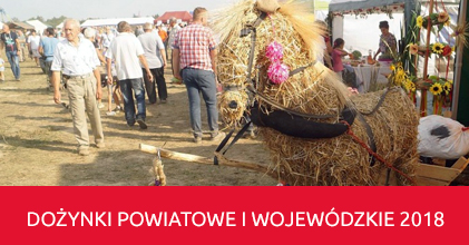 Dożynki Powiatowe i Wojewódzkie 2018