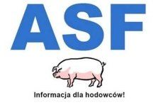 ASF - najważniejsze zasady bioasekuracji oraz przemieszczania trzody chlewnej na terenie kraju