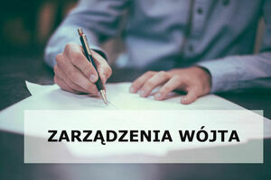Z A R Z Ą D Z E N I E  Wójta Gminy Borzechów  w sprawie powołania Komisji Konkursowej w celu zaopiniowania złożonych ofert na realizację zadania publicznego w 2023 r.