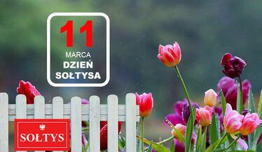 napis 11 marca dzień sołtysa na tle kwiatów, płot i czerwona tabliczka sołtys