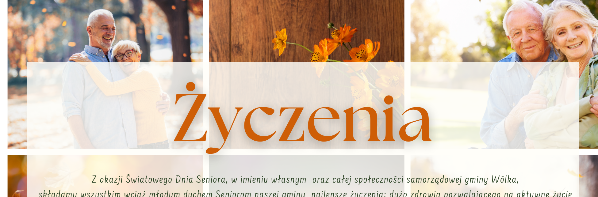 grafika z napisem życzenia