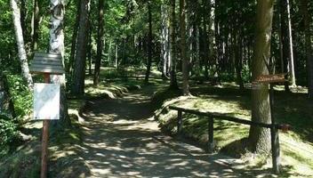 Park Północny - Aleja Brzozowa